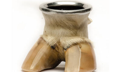 Mate vidrio "Pata de Vaca". MAT 01